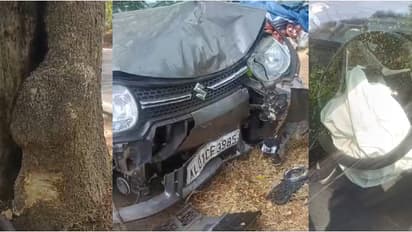 അത്ഭുതകരമായ രക്ഷപ്പെടൽ! ഗുരുവായൂർ ക്ഷേത്ര ദർശനം കഴിഞ്ഞ് മടങ്ങിയ ഡോക്ടർ സഞ്ചരിച്ച കാർ മരത്തിലിടിച്ച് അപകടം