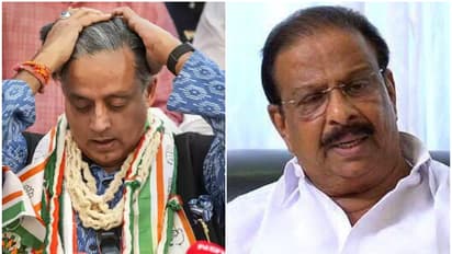 'കോഴിക്കടകളും തട്ടുകടകളും ചേർത്താണ് മന്ത്രിയുടെ കണക്ക്', തരൂരിനെ വിമർശിക്കാതെ വ്യവസായ നേട്ടങ്ങളെ തള്ളി സുധാകരൻ