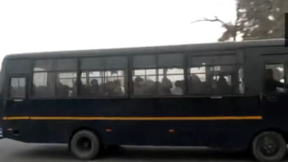 Second batch of illegal migrants from US land in Amritsar; deportee claims they were handcuffed, chained