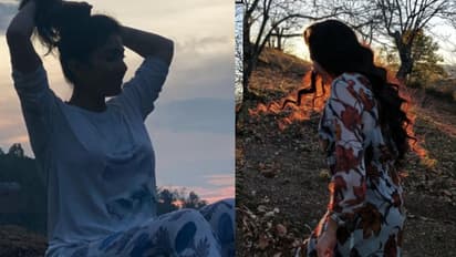 சினிமாவை விட்டு விலகும் சாய் பல்லவி? டாக்டராக பணியாற்ற திட்டம்!