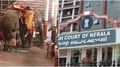 പടക്കം പൊട്ടിക്കുന്ന സ്ഥലത്ത് ആനകളെ നിര്ത്തിയതെന്തിന്? കൊയിലാണ്ടിയിൽ ആന ഇടഞ്ഞ സംഭവത്തില് ഹൈക്കോടതി