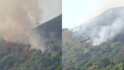 മാനന്തവാടിക്കടുത്ത് കമ്പമല വനമേഖലയിൽ വൻ തീപിടിത്തം: തീയണക്കാൻ തീവ്ര ശ്രമം