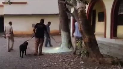 സ്കൂൾ വരാന്തയിൽ ടേപ്പ് ചുറ്റി പന്ത് പോലെ സാധനം; നോക്കിനിൽക്കെ പൊട്ടിത്തെറിച്ചു, തൃശൂരിൽ വിദ്യാർഥിക്ക് പരിക്ക്