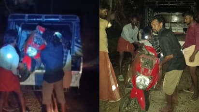 തിരുവനന്തപുരം പാലോട് കാട്ടാന ആക്രമണം; റോഡിൽ നിന്ന ഒറ്റയാൻ്റെ ആക്രമണത്തിൽ സ്‌കൂട്ടർ യാത്രികർക്ക് പരുക്ക്