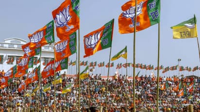 ദില്ലി സത്യപ്രതിജ്ഞാ ചടങ്ങ് ശക്തിപ്രകടനമാക്കാനൊരുങ്ങി ബിജെപി, 20 സംസ്ഥാനങ്ങളിലെ എൻഡിഎ മുഖ്യമന്ത്രിമാരെത്തും