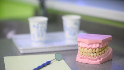 GROUNDBREAKING! Scientists say human teeth likely to be grown in LAB & replace dentures within next 20 years