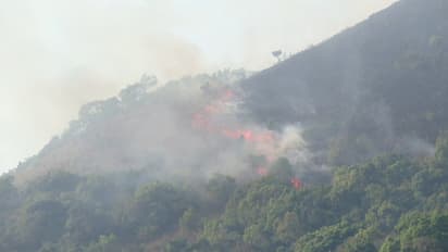 ತೆಲಂಗಾಣ: ಅರಣ್ಯನಾಶ ಬೆನ್ನಲ್ಲೇ ಮತ್ತೊಂದು ಕಡೆ 30 ಎಕರೆ ಉದ್ಯಾನವನಕ್ಕೆ  ಬೆಂಕಿ, ಬೆಲೆಬಾಳುವ ಮರಗಳು ಭಸ್ಮ!