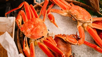 ഒന്നും രണ്ടുമല്ല, പിടിച്ചത് 364 കിലോ​ഗ്രാം ഞണ്ടുകളെ, അനധികൃത മത്സ്യബന്ധനം നടത്തിയ പ്രവാസികൾ ബഹ്റൈനിൽ പിടിയിൽ  