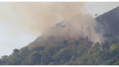 കമ്പമലയ്ക്ക് തീയിട്ടത് പഞ്ചാരക്കൊല്ലി സ്വദേശി; പിടികൂടിയത് വനംവകുപ്പ് ഉദ്യോഗസ്ഥർ