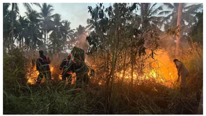  വേനൽച്ചൂടേറുന്നു, തലസ്ഥാനത്ത് ഒന്നരമാസത്തിനിടെ ഫയർഫോഴ്സ് തീയണച്ചത് 400 സ്ഥലങ്ങളിൽ