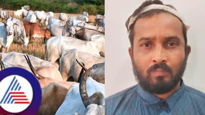 ಹಸುಗಳ್ಳತನಕ್ಕೆ ಎತ್ತಿದ ಕೈ, ಕದ್ದ ಹಸು ಕಾರಿನಲ್ಲಿ ಸಾಗಿಸುತ್ತಿದ್ದ ಭೂಪರು! ಫೈರೋಜ್ ಬೇಗ್, ಸೈಯದ್ ಬಂಧನ! ಕದ್ದಿದ್ದೆಷ್ಟು?