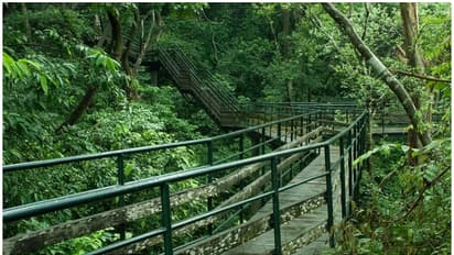 ബോട്ടിംഗ് മുതൽ ആകാശയാത്ര വരെ; വൺ ഡേ ട്രിപ്പിന് ഈ ഡെസ്റ്റിനേഷൻ ബെസ്റ്റാ!