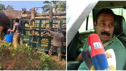 കാട്ടാനയുടെ മസ്തകത്തിലെ മുറിവിൽ പുഴു കയറി, ആന മയങ്ങി വീണത് ഗുണം ചെയ്തു: ഡോ. അരുൺ സക്കറിയ