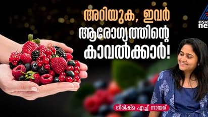 Antioxidants: മാരകരോഗങ്ങളുടെ സാധ്യത കുറയ്ക്കുന്നു, പ്രായമാവല് പതുക്കെയാക്കുന്നു; ആന്റി ഓക്സിഡന്റുകളുടെ ലോകം