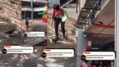 ಹಣದುಬ್ಬರದ ಬಿಸಿ : ತಾತನ ಜೇಬಿನಿಂದ ಕಾಸು ಎತ್ತಿಕೊಂಡು ಹೋದ ಕಾಗೆ