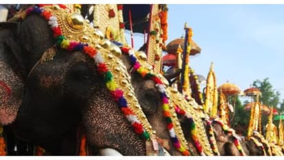 അനുമതി ഇല്ലാതെ ഉത്സവത്തിനു ആനയെ എഴുന്നള്ളിച്ചു; ക്ഷേത്ര ഭാരവാഹികൾക്കെതിരേയും ഉടമക്കെതിരേയും കേസ്