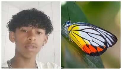 പൂമ്പാറ്റയുടെ ജഡം ശരീരത്തിൽ കുത്തിവച്ച 14 -കാരൻ മരിച്ചു; വൈറൽ ചലഞ്ചിന്റെ ഭാഗമെന്ന് സംശയിച്ച് പോലീസ്