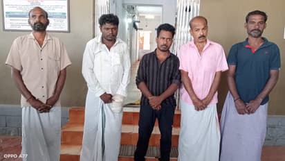 സ്ഫോടകവസ്തു വെച്ച് കാട്ടുപന്നിയെ വേട്ടയാടും, കിലോക്ക് 400 രൂപ വരെ വാങ്ങി വിൽക്കും; തൃശൂരിൽ അഞ്ചംഗ സംഘം പിടിയിൽ