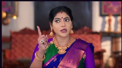 Karthigai Deepam: கார்த்திக் வலையில் சிக்கிய மாயா - மகேஷ்? அம்பலமாகுமா உண்மை - கார்த்திகை தீபம் அப்டேட்!