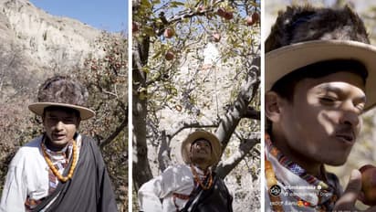 ಕಂಡವರ ತೋಟದಲ್ಲಿ ಆಪಲ್ ತಿನ್ನೋದೇ ಮಜ, ಹೊಸ ಸ್ಟೈಲ್ ನಲ್ಲಿ ಡಾ. ಬ್ರೋ ಮಿಂಚಿಂಗ್