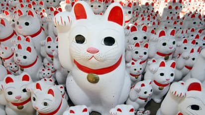 ലണ്ടനിലെ ആഡംബര ഹോട്ടലിൽ മോഷണം പതിവ്, കാണാതാവുന്നത് ഭാഗ്യ ചിഹ്നമായ പൂച്ച പ്രതിമകൾ