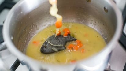 Iron Fish:తినడానికి పనికిరాని చేప.. కానీ వారికి మాత్రం వరం..!