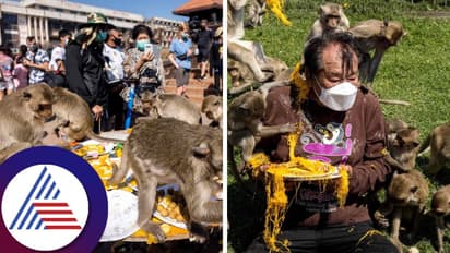 ತಲೆಗೆ ಮೊಟಕುತ್ತೆ, ಮೈಮೇಲೆ ನೆಗೆದು ಪರಚುತ್ತೆ ! ಈ ಕೋತಿ ಕಾಟಕ್ಕೆ ಜನ ಸುಸ್ತೋ ಸುಸ್ತು