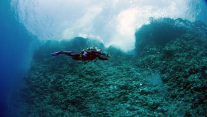 Scientists discover 'Death Pools' in the Red Sea - They may hold key to life beyond Earth