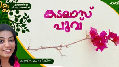 Malayalam Poem: കടലാസ് പൂവ്, ഷബ്ന ഫെലിക്സ് എഴുതിയ കവിത