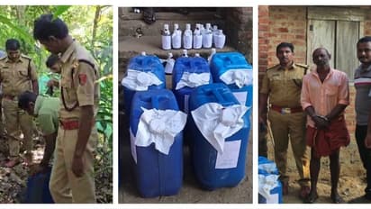 കിടപ്പുമുറിയിൽ 35 ലിറ്റർ, പറമ്പിൽ കുഴിച്ചിട്ടത് 6 കന്നാസുകൾ, മൊത്തം 245ലിറ്റർ; ഇടുക്കിയിൽ വൻ വാറ്റുചാരായ വേട്ട