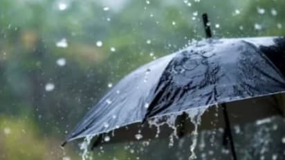 Kolkata Weather LATEST update: Will it rain on Maha Shivratri? Check met office forecast HERE