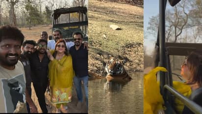 ಕಬಿನಿಯಲ್ಲಿ ಕ್ರೇಜಿ ಕ್ವೀನ್, ಹುಲಿ ರಾಣ ನೋಡಿ ಖುಷಿಯೋ ಖುಷಿ