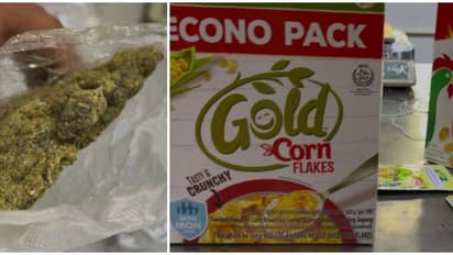 തായ്ലൻഡിൽ നിന്ന് കാരക്കാമുറിയിലെ പോസ്റ്റ് ഓഫീസിലേക്ക് പാർസൽ, ഭക്ഷ്യവസ്തുവെന്ന് കരുതി, ഉള്ളിൽ ഹൈബ്രിഡ് കഞ്ചാവ്