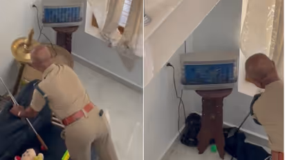 വീട്ടിലെ ഡൈനിങ് ഹാളിൽ നിലവിളക്കിന് ചേര്ന്ന് വീട്ടുകാരെ പേടിപ്പിച്ച് അപ്രതീക്ഷിത അതിഥി; രാജവെമ്പാലയെ പിടികൂടി