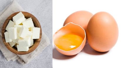 egg or paneer
