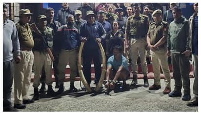 രഹസ്യ വിവരത്തെ തുടര്‍ന്ന് റെയ്ഡ്, പിടിച്ചെടുത്തത് 13 കിലോ ഭാരമുള്ള 2 ആനക്കൊമ്പുകള്‍