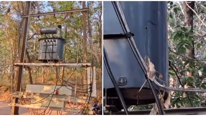 ഉന്നം ലേശം പാളി! കാട്ടുപന്നിക്കിട്ട് വച്ചത് കൊണ്ടത് ട്രാൻസ്ഫോർമറിന്, നഷ്ടം പഞ്ചായത്ത് നികത്തണമെന്ന് കെഎസ്ഇബി