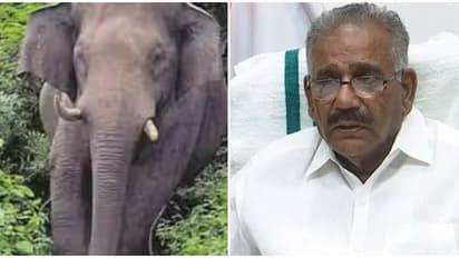 ആറളം ഫാമിൽ ദമ്പതികളെ കാട്ടാന ചവിട്ടിക്കൊന്ന സംഭവം; കുടുംബത്തിന് 20 ലക്ഷം രൂപ നഷ്ട പരിഹാരം നൽകും