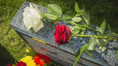 കല്ലറകളിൽ ക്യുആർ കോഡുകൾ; അർത്ഥമെന്ത്, ആര് പതിച്ചു? ഒടുവിൽ ആ ദുരൂഹത മാഞ്ഞു, സത്യം പുറത്ത്  