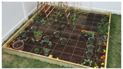 പഴഞ്ചൻ രീതികൾ ഉപേക്ഷിക്കൂ, വീടിനൊപ്പം ഇനി പൂന്തോട്ടവും സ്റ്റൈൽ ആകട്ടെ