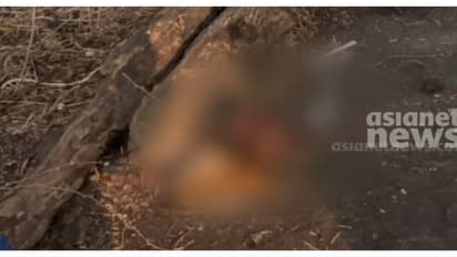 മുക്കത്ത് പുലിയെന്ന് സംശയം, വളർത്തുനായയെ ഭക്ഷിച്ച നിലയിൽ കണ്ടെത്തി; ക്യാമറ സ്ഥാപിക്കുമെന്ന് വനംവകുപ്പ്
