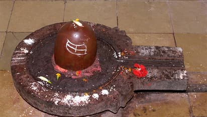 মহাশিবরাত্রির ব্রত করলে এই কাহিনী শুনুন, উপোস ও পুজোর পূর্ণ ফল পাবেন