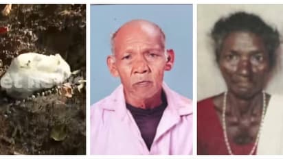 'ആനയെ കണ്ട് വെള്ളിയും ലീലയും തിരിഞ്ഞോടി, പിന്നാലെയെത്തി ആക്രമിച്ച് കൊന്നു'; കാട്ടാനക്കലി, കണ്ണീരുണങ്ങാതെ ആറളം