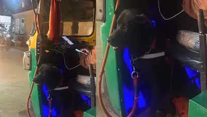 ಜಾಕಿ ಭೇಟಿ ಮಾಡಿದ್ದೀರಾ? ಆಟೋ ಚಾಲಕನ ಜೊತೆ ಬೆಂಗಳೂರು ಸುತ್ತುವ ಮುದ್ದಿನ ನಾಯಿ