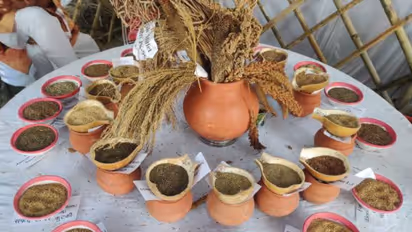 புரோட்டீன் சத்துக்கள் அதிகம் உள்ள 8 வெஜிடேரியன் உணவுகள் :