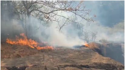 മലയിലെ അടിക്കാടുകള്‍ക്കും പുല്ലിനും തീ പിടിച്ചു; രണ്ട് യൂണിറ്റ് അഗ്‌നിശമന സേന എത്തിയത് രക്ഷയായി