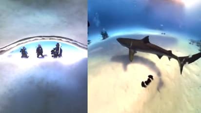 അമ്പമ്പോ കണ്ടാൽ ഞെട്ടും; സ്രാവ് വിഴുങ്ങിയ ക്യാമറയ്ക്കുള്ളിലെ ദൃശ്യങ്ങള്‍ വൈറലാകുന്നു