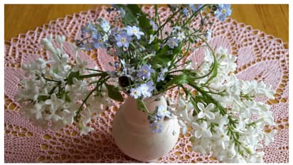 വീട്ടിൽ ഫ്രഞ്ച് ലുക്കിൽ ഒരു ഡൈനിങ്ങ് ആയാലോ; സിംപിളായി ഒരുക്കാം  