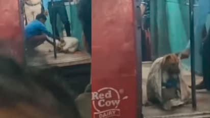 ನಾಯಿಯನ್ನು ಚೀಲದಲ್ಲಿ ತುಂಬಿಸಿ ರೈಲಿನಲ್ಲಿ ಬಿಟ್ಟು ಹೋದ ಪಾಪಿಗಳು