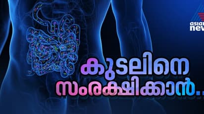 കുടലിന്റെ സംരക്ഷണത്തിന് പ്രോ ബയോട്ടിക്കും പ്രീബയോട്ടിക്കും; എന്താണ് ഇവ തമ്മിലുള്ള വ്യത്യാസം?